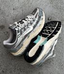 Кросовки Nike P6000
