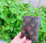 Nowe Louis Vuitton Victorine LV Monogram Mały Portfel czerwona klamra