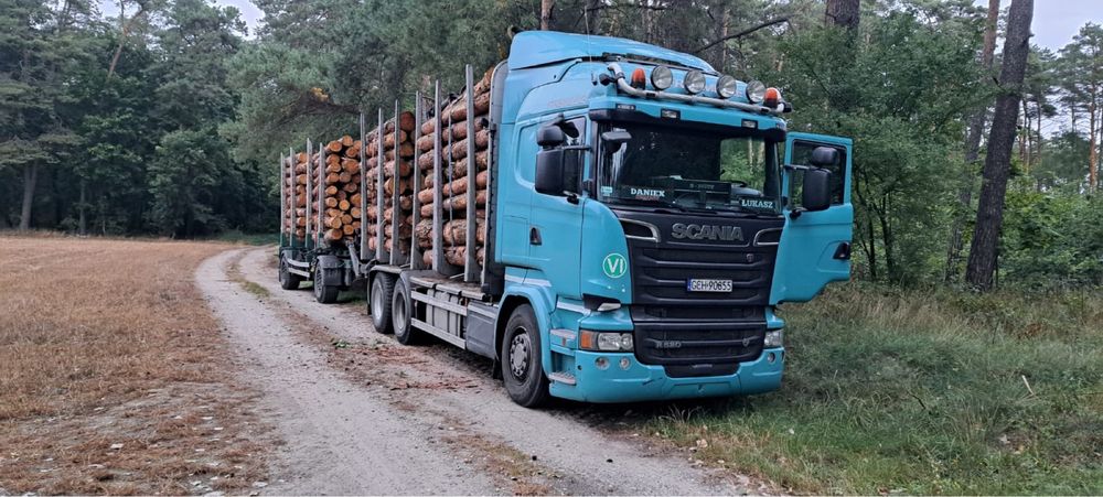 Scania V8 R520 Do drewna drzewa HDS