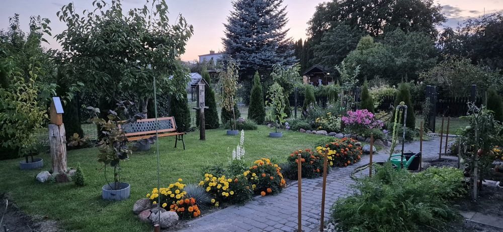 Sprzedam Działkę ROD Szczytno