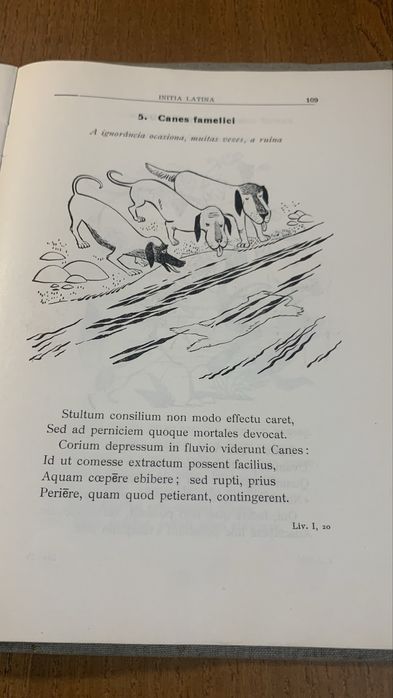 Initia Latina (6 ano)