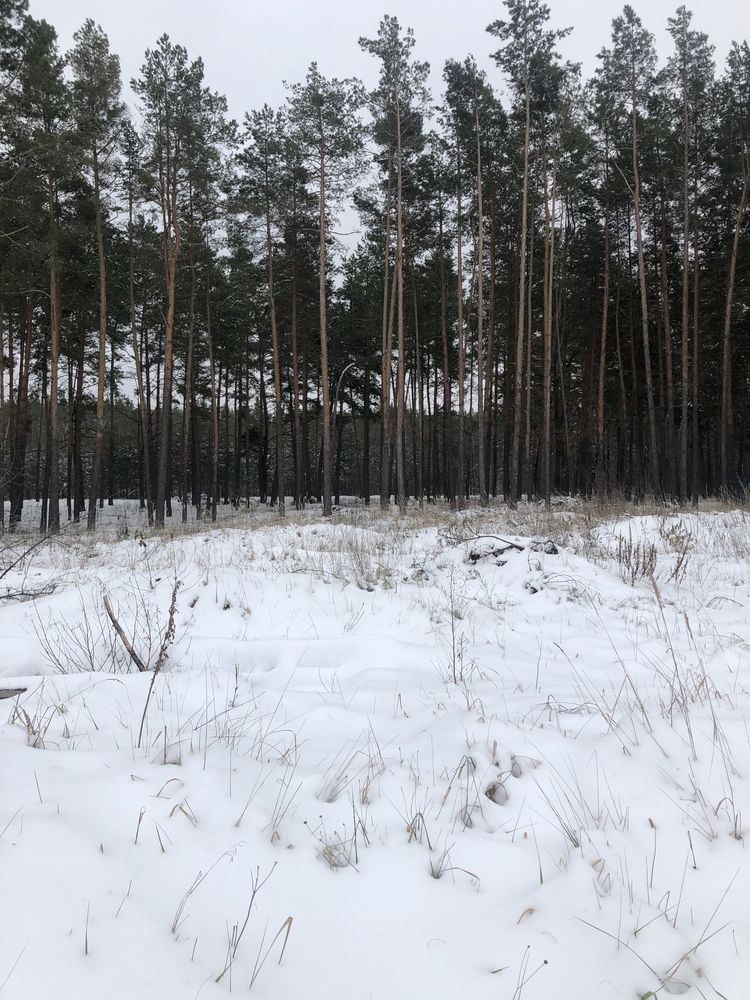 Ділянка 7,7 сот під будівництво з виходом в ліс