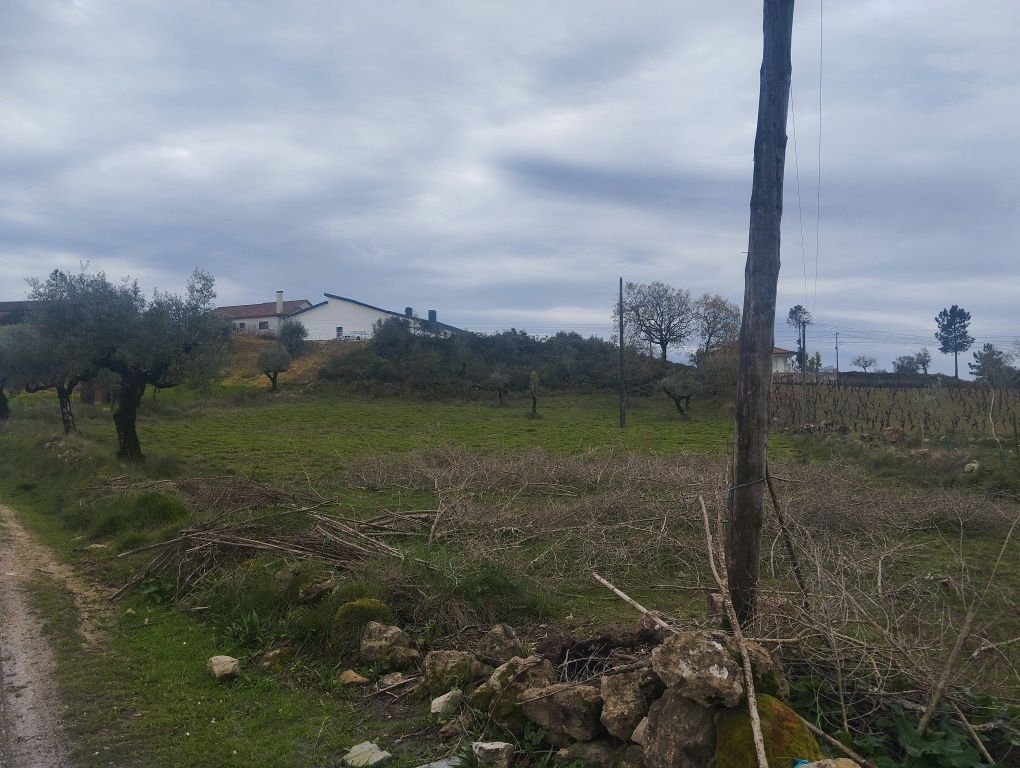 Terreno com projeto pavilhão / armazém aprovado