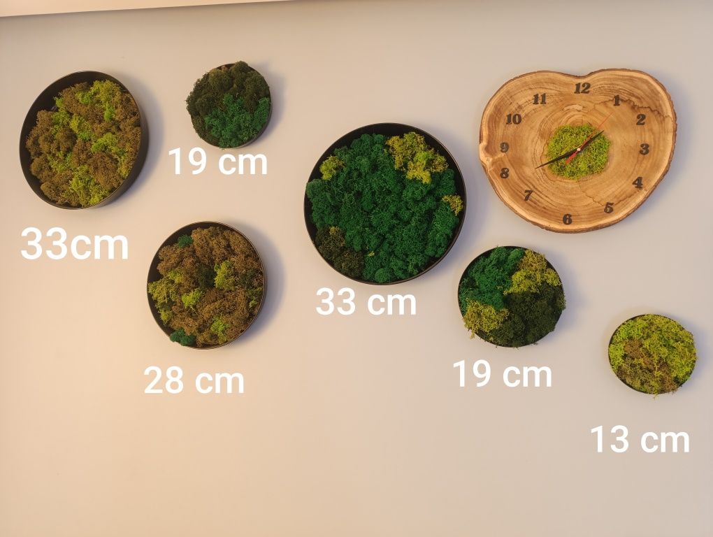 Dekoracje z mchem chrobotkiem
