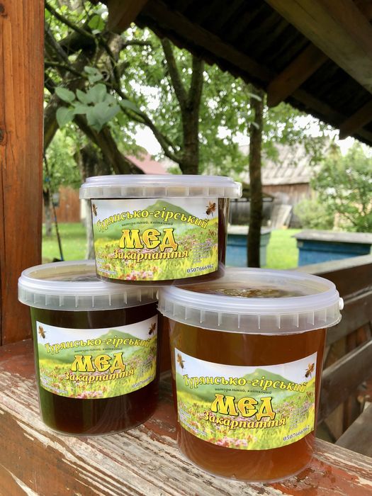 Мед з різнотравя Закарпаття