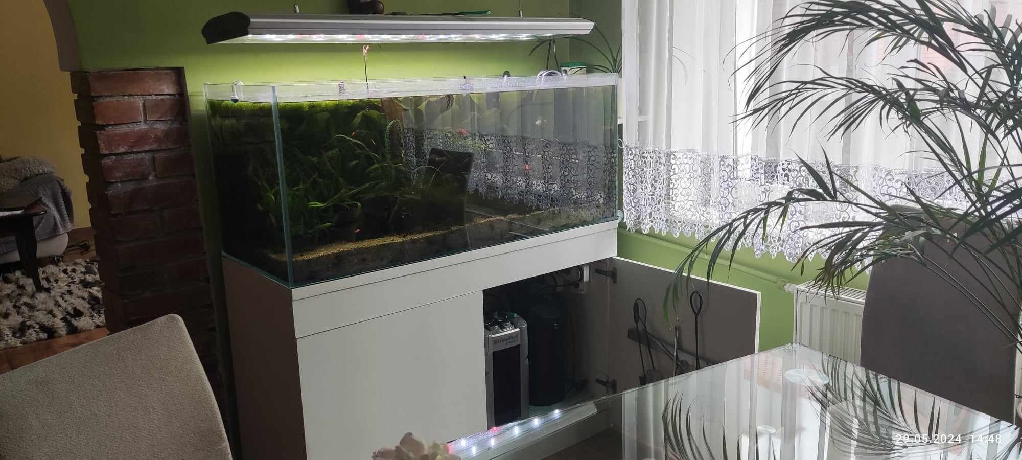 Akwarium z szafką 300L optiwhite