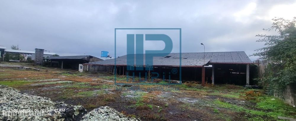 Terreno T5 Arrendamento em Sande Vila Nova e Sande São Clemente,Guimar