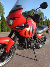 Triumph Tiger 955i