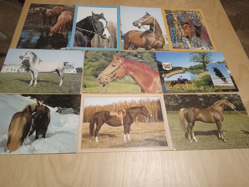 pocztówki ze zwierzętami