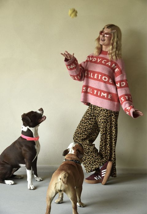 Behawiorysta / trener psów / szkolenie psów /HOTEL dla psów/ nosework