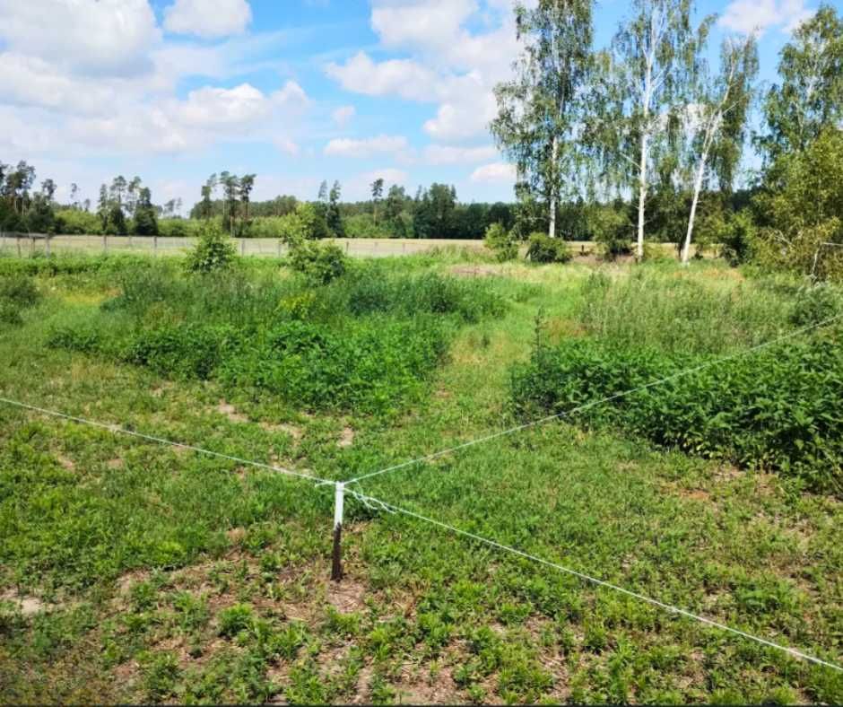 Sprzedam działkę 3200 m2 rekreacyjną blisko lasu- 80 km od Warszawy!