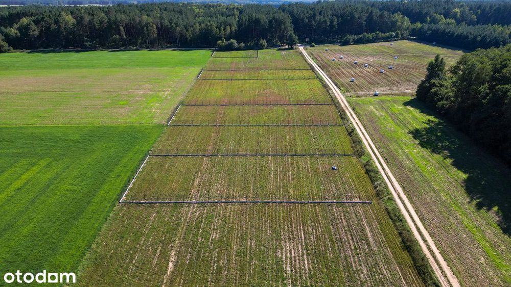 Działki budowlane w otoczeniu lasu pod dom lub inwestycje. Raty