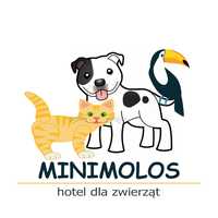 Hotel dla psów, hotel dla zwierząt, kujawsko-pomorskie