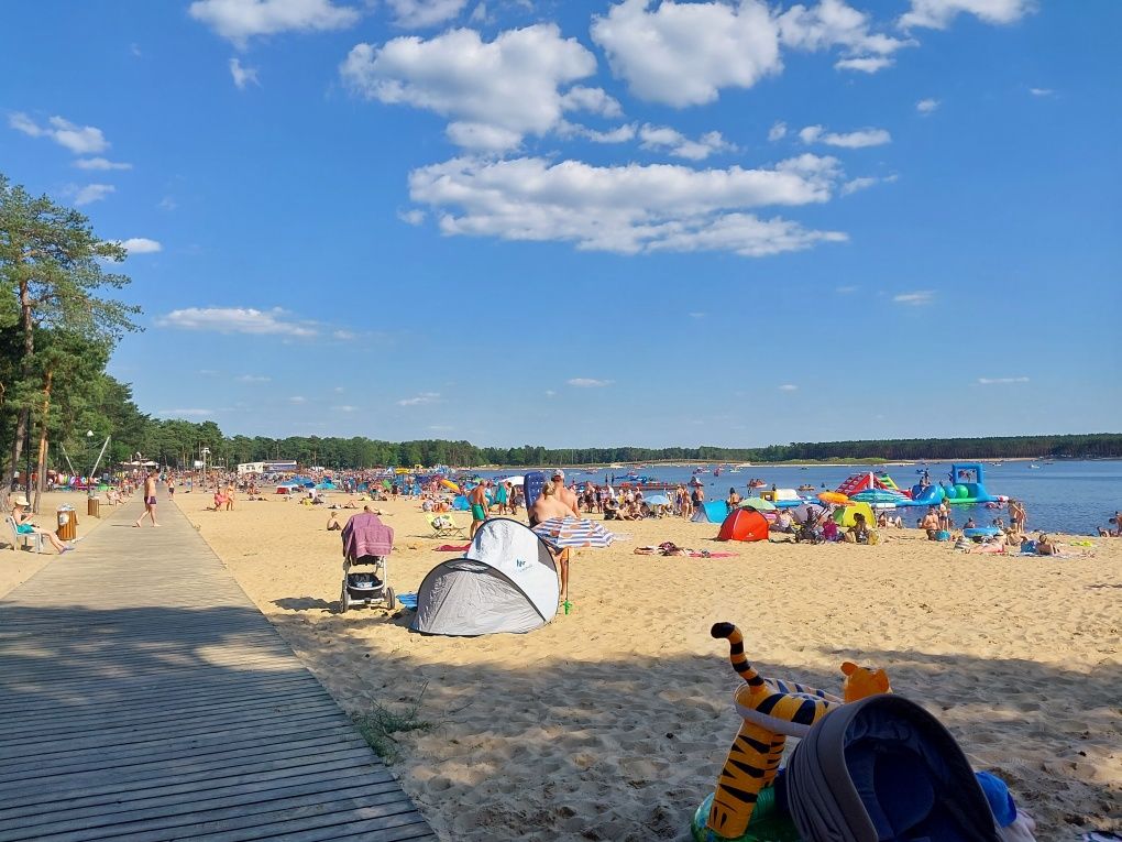 Domek Przy Lesie koło Sielpi