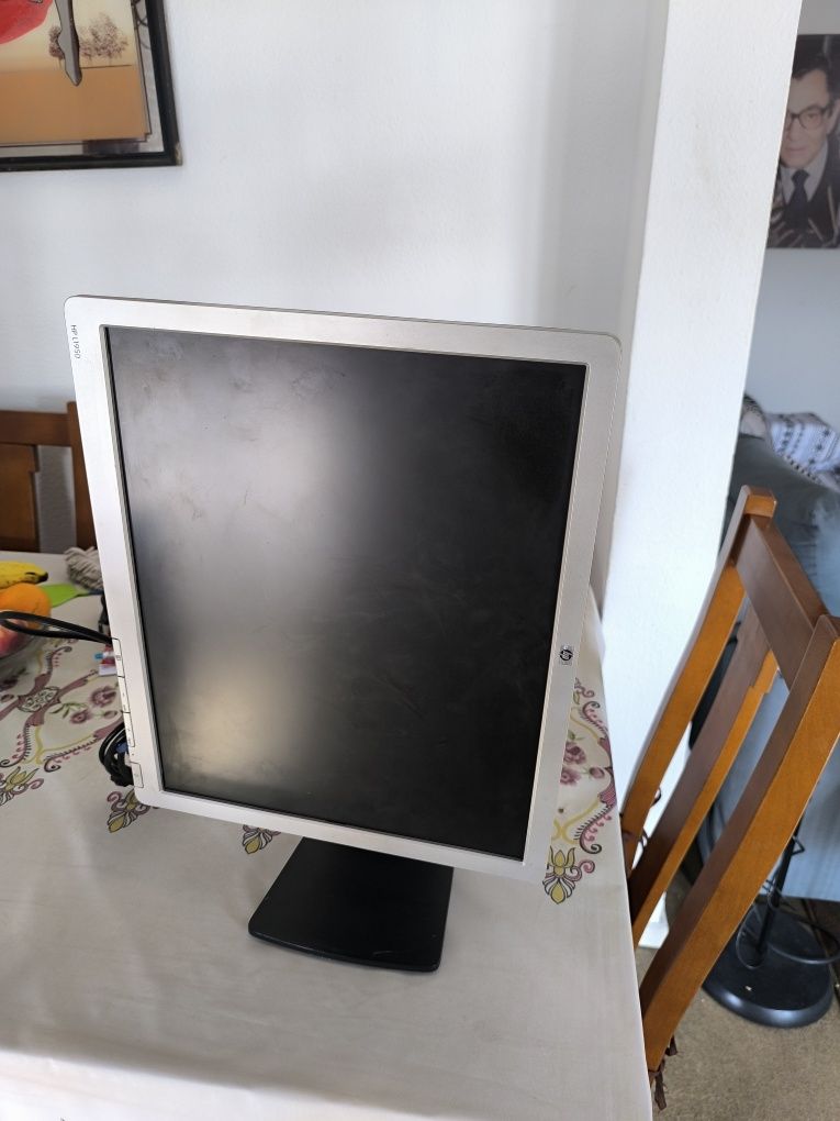 Monitor HP L1950
