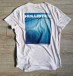 Koszulka Hollister * Logo * Premium * XS