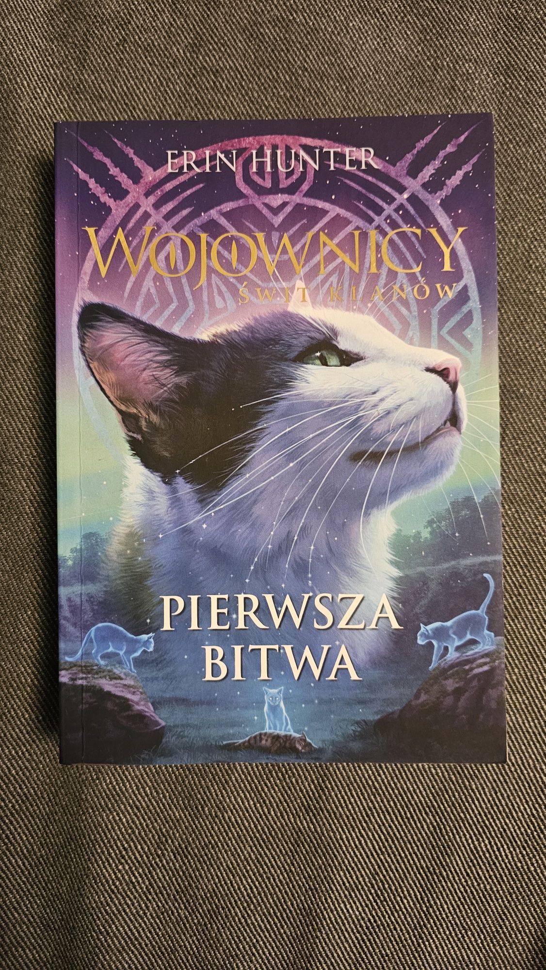 Wojownicy, Pierwsza bitwa, Erin Hunter, 5 seria, toml 3