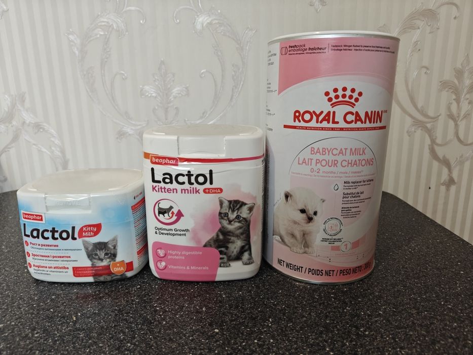 Сухе молоко для кошенят Beaphar Lactol + Royal Canin
