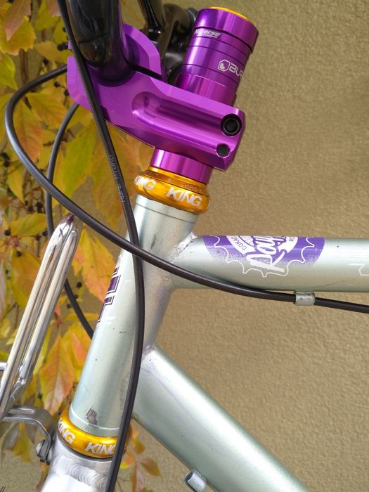 GT Palomar Chris King Garbaruk Retro Brooks