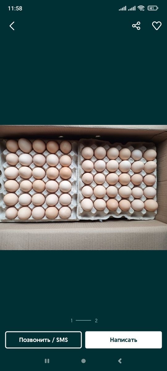 Яйця столові С1 з птицефабрики