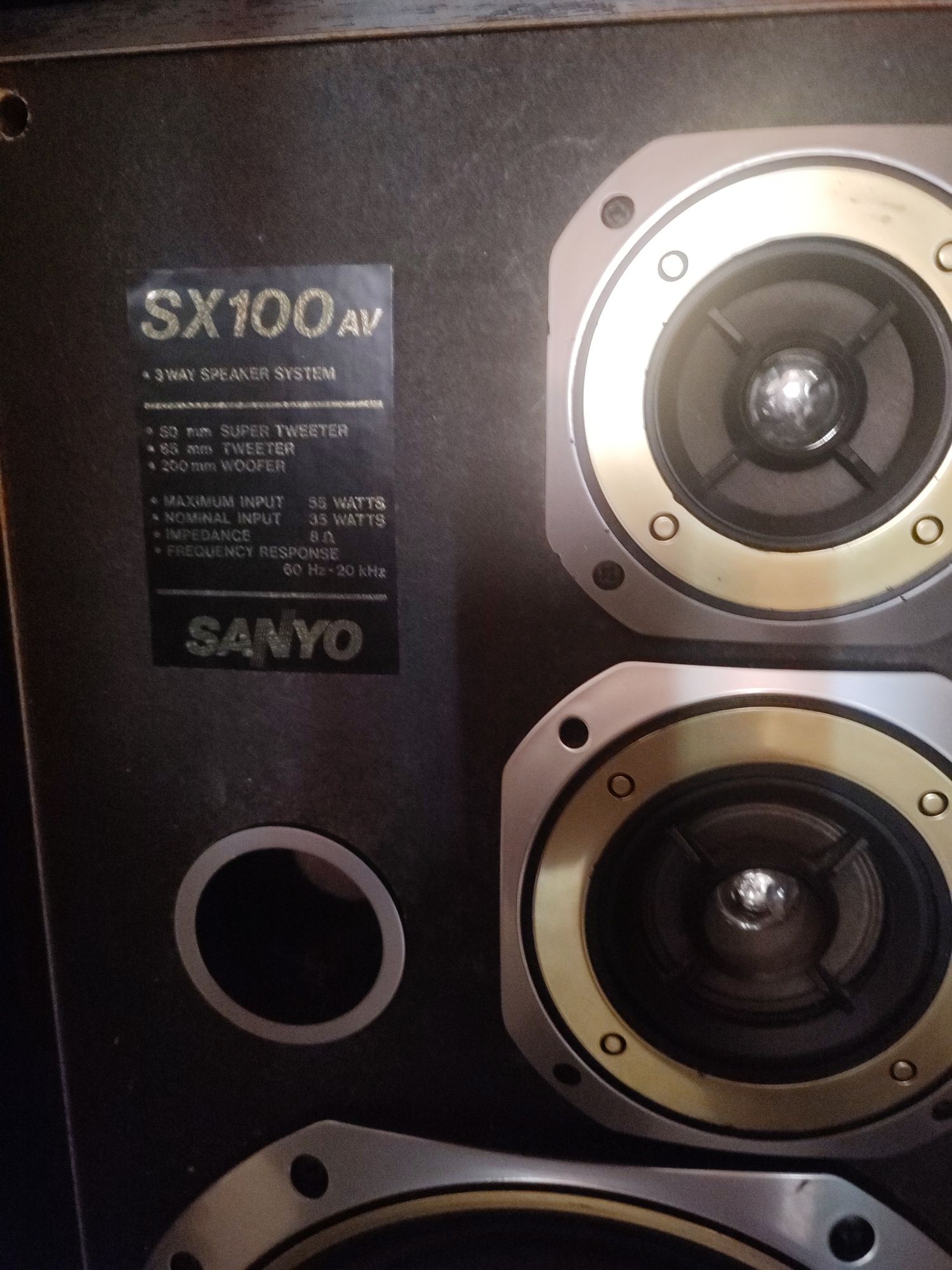 Sanyo  SX 100 AV