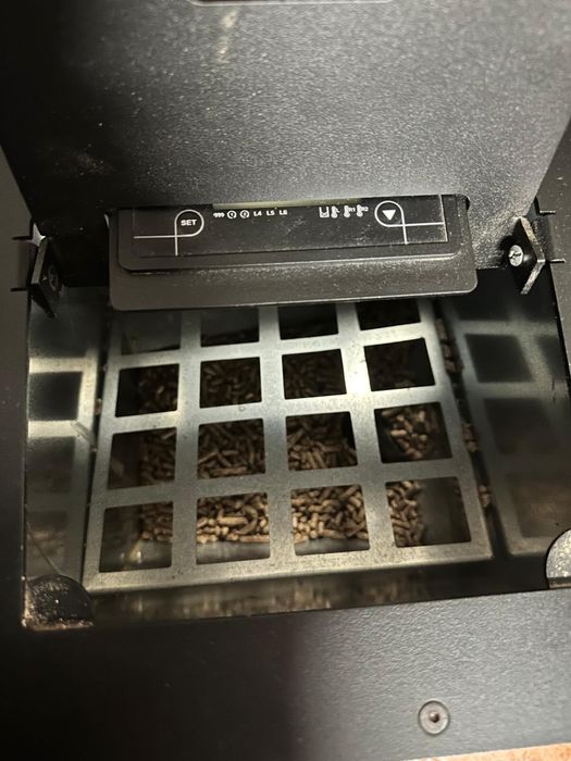 Salamandra como nova