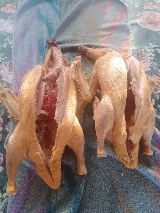 Kaczki tuszka chów wiejski