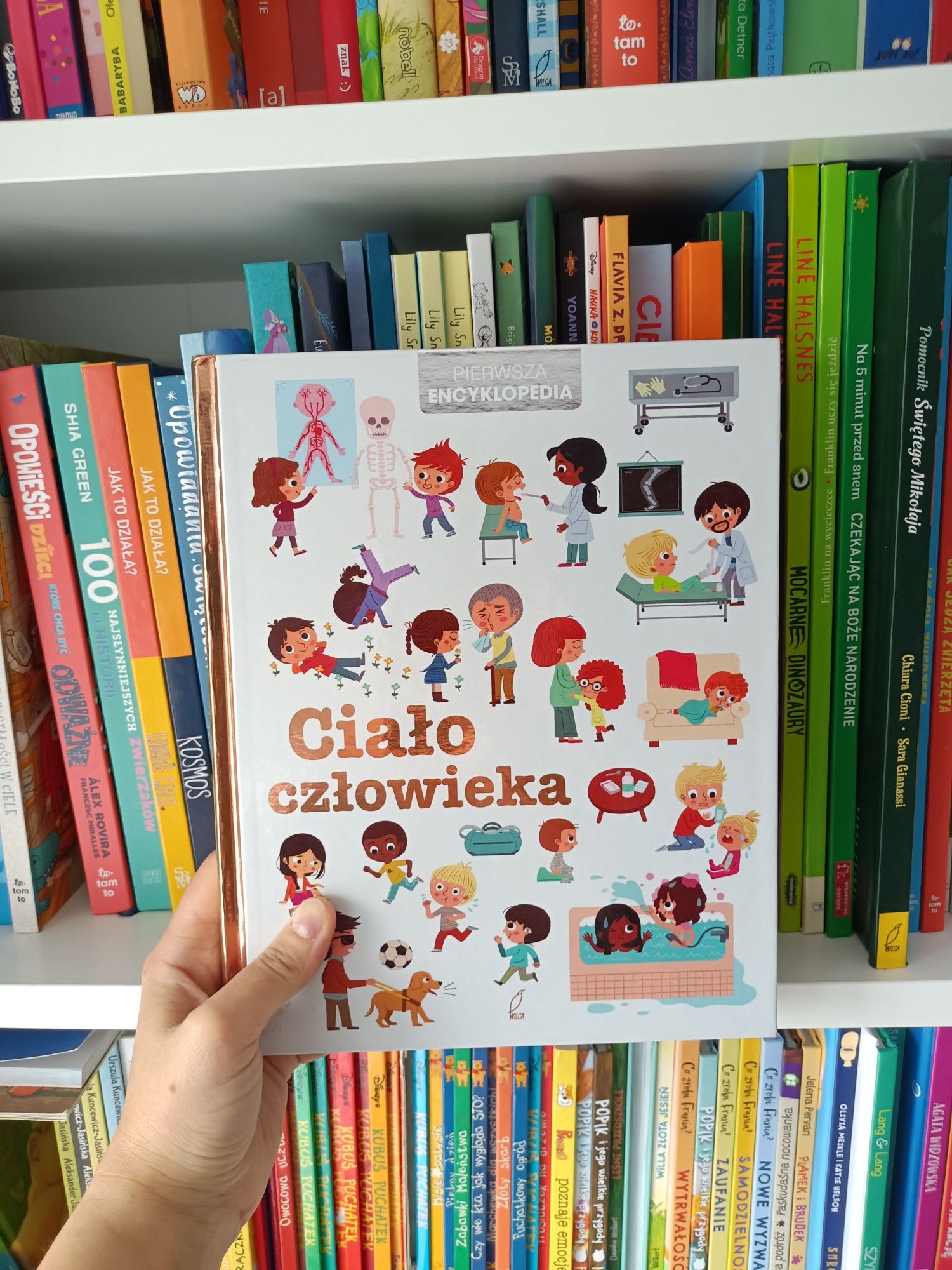 Pierwsza encyklopedia. Ciało człowieka