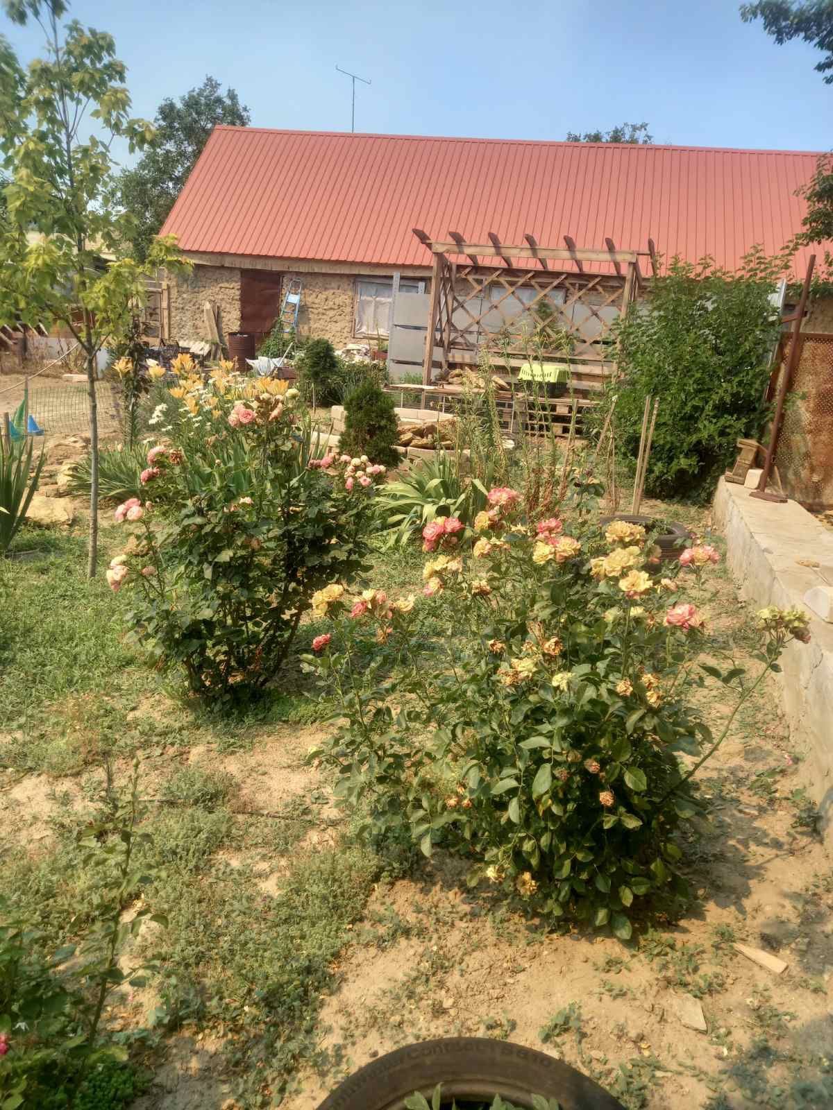 Продам 2будинка Чорнобаївка вул.Стадіонна