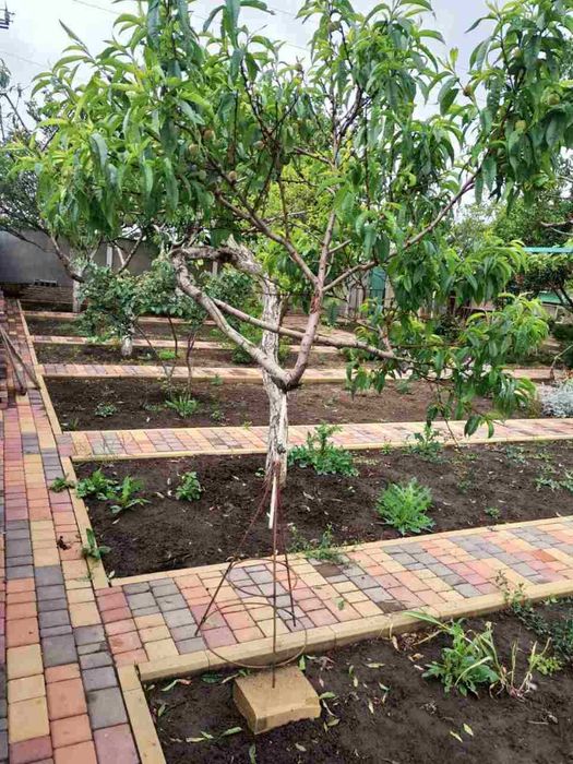 Продам дом в Вапнярке. Дача.