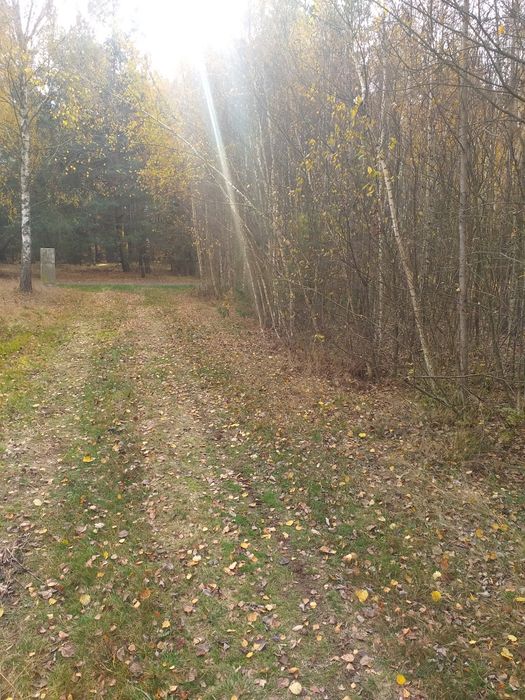 Łysobyki działka z warunkami zabudowy