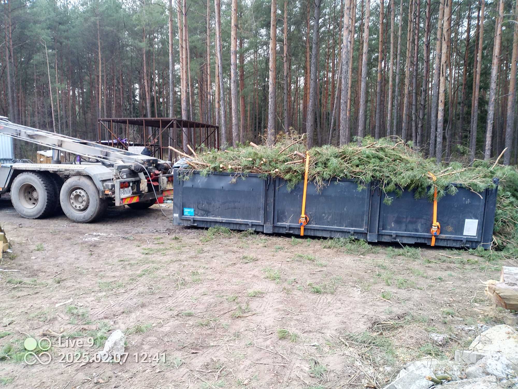 Korzenie gałęzie wycinka drzew