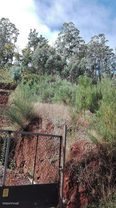 Terreno  para venda