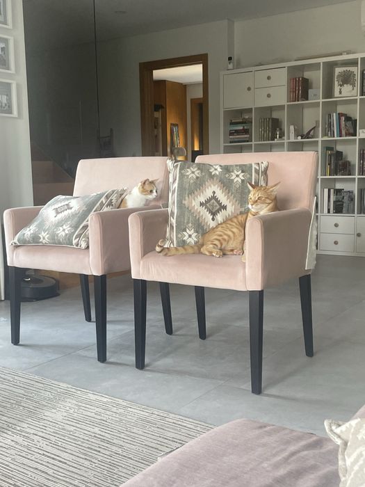 Cadeiras mesa de jantar