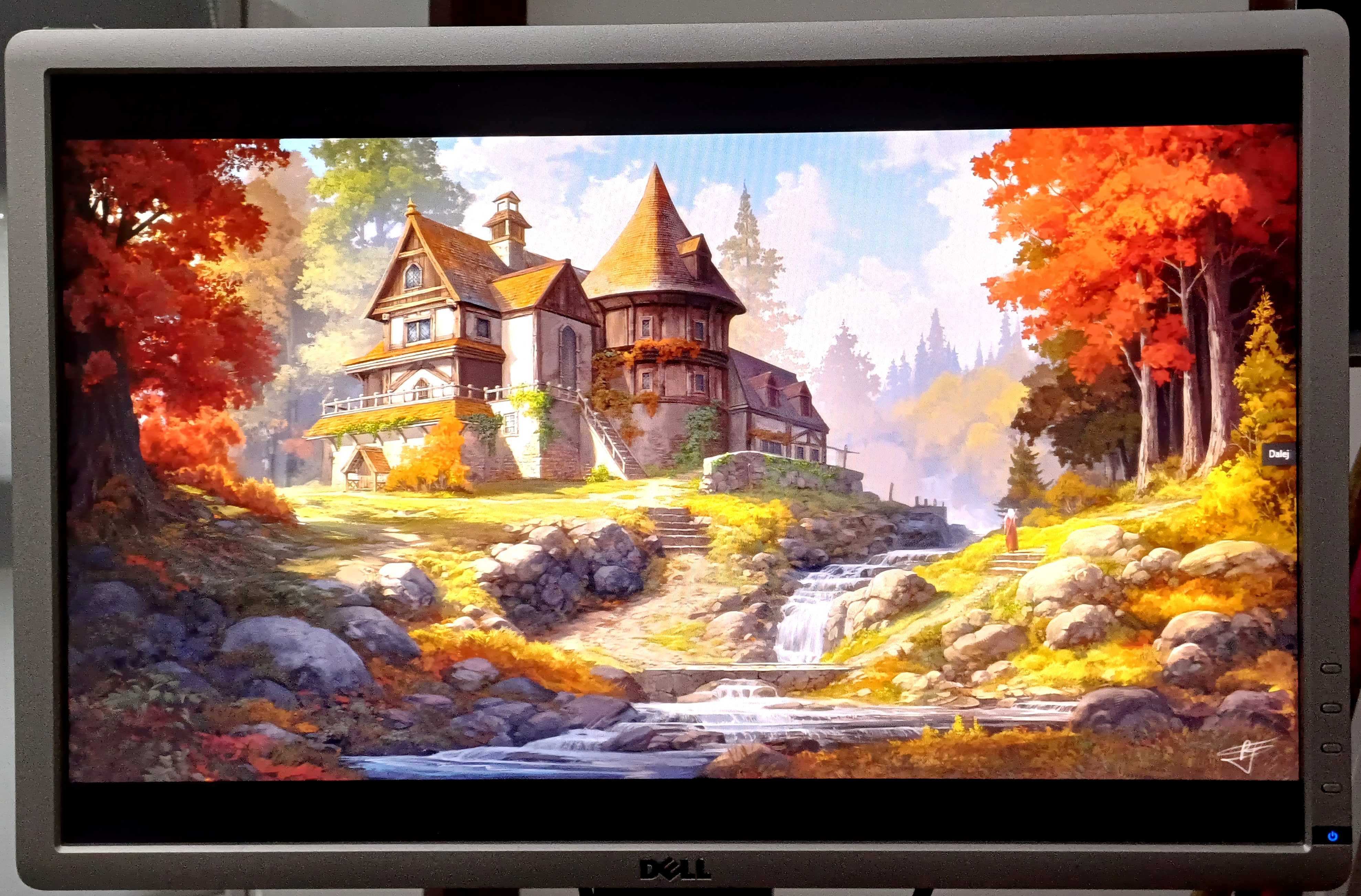 Monitor LED Dell P2213 22" Obrotowy Ekran