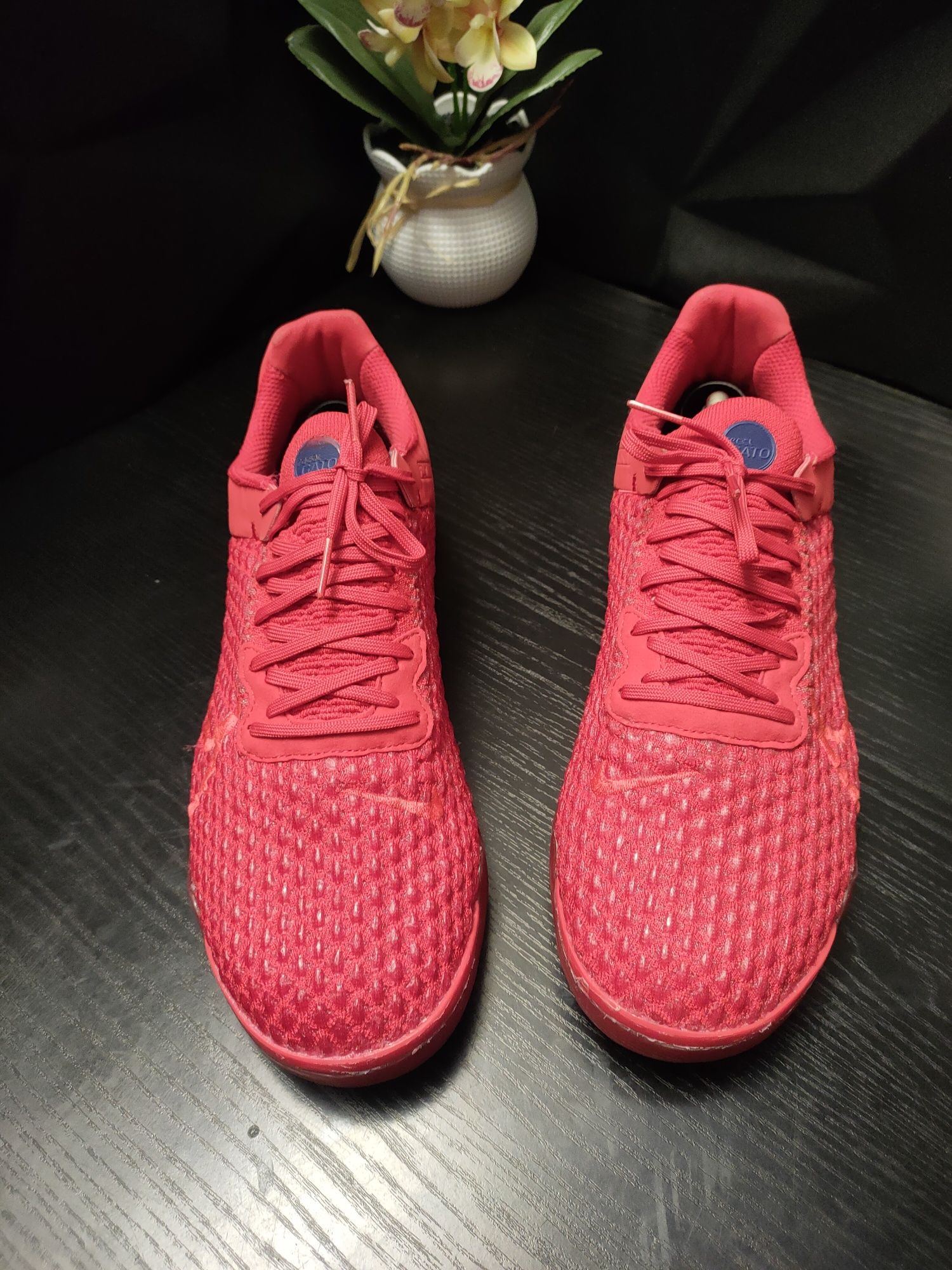 Футзалкы Nike ReactGato IC CT0550-600