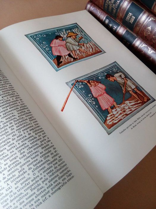 Joel Serrão Dicionário de História de Portugal