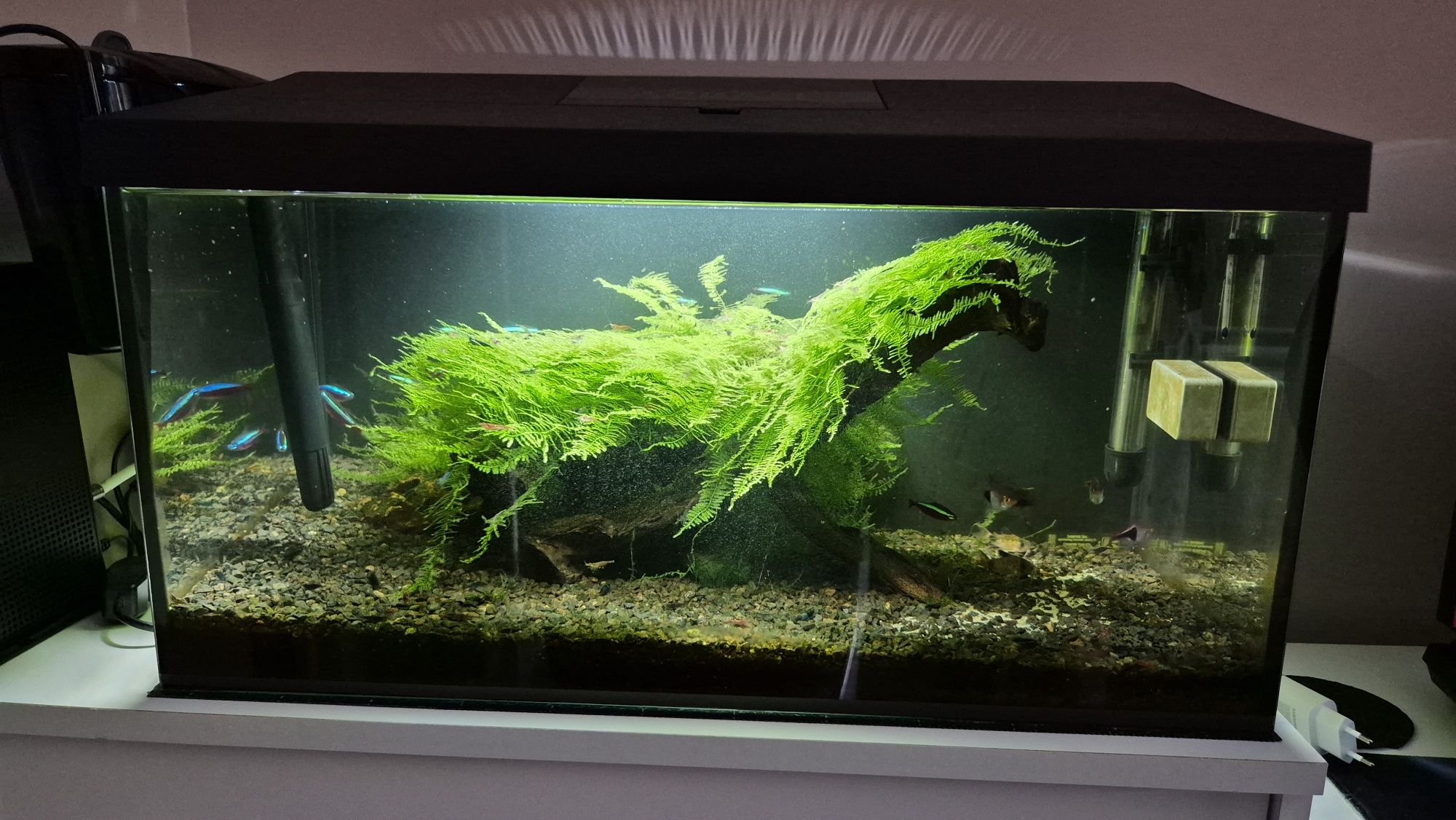 Akwarium Aquael 54L + cały osprzęt