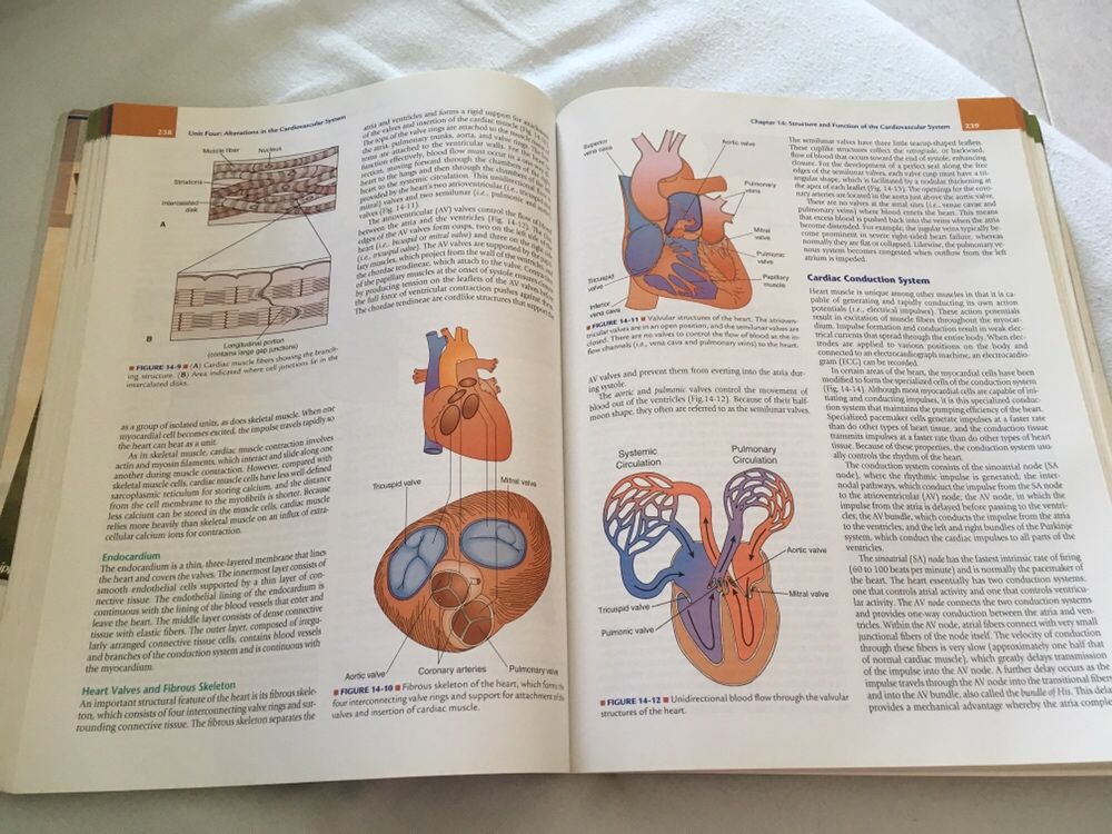 Vendo livro "Essentials of Pathophysiology", Porth