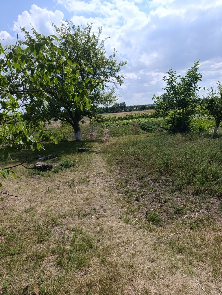 Продається будинок с. Березняки м. Сміла