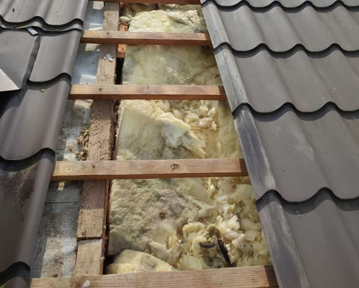 Naprawa dachu po kunie, naprawa izolacji po kunie, ocieplanie celulozą