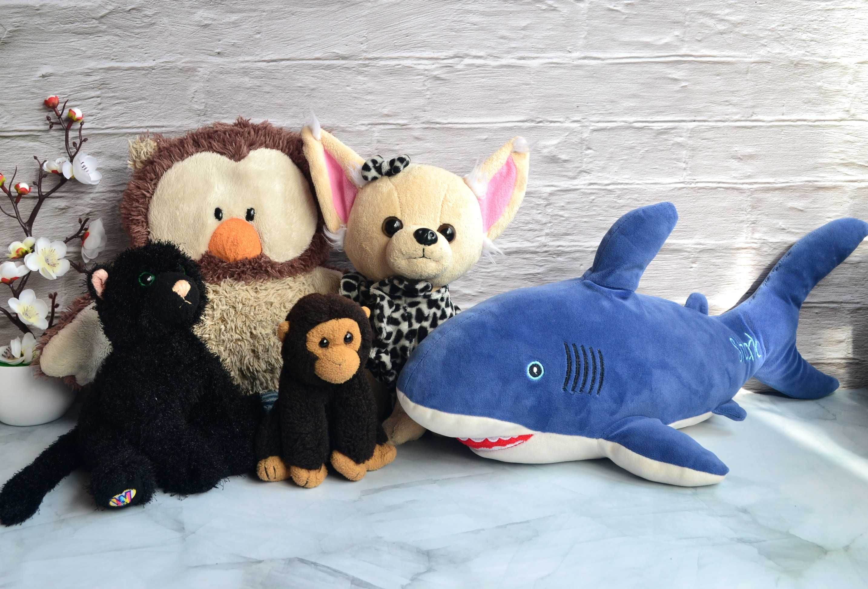 М'які іграшки собачка Чихуа, глазастик, подушка-сова, акула, кот