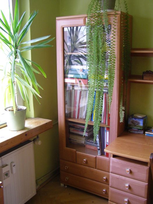 Zestaw mebli BRW – Black Red White model XXI szybka sprzedaż