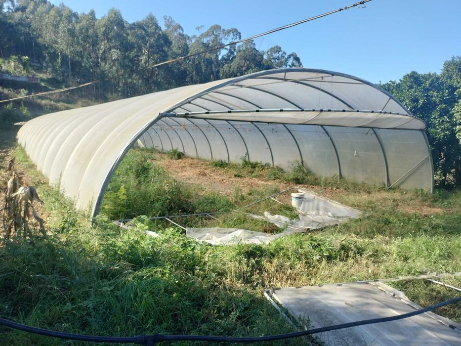 Estufa usada tipo túnel 300m2