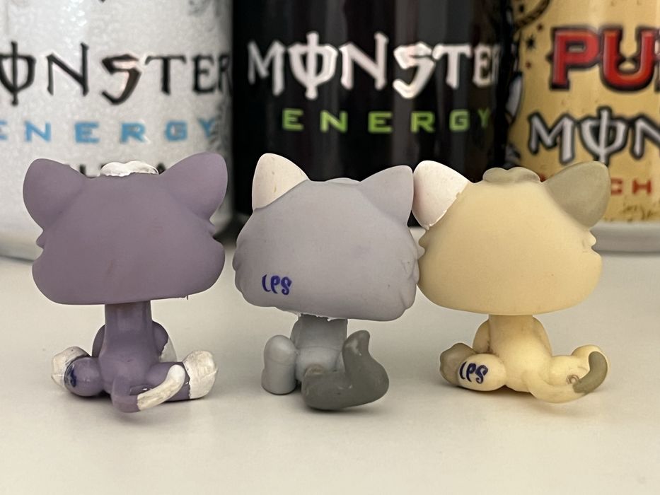 Продам оригинальных котят лпс lps