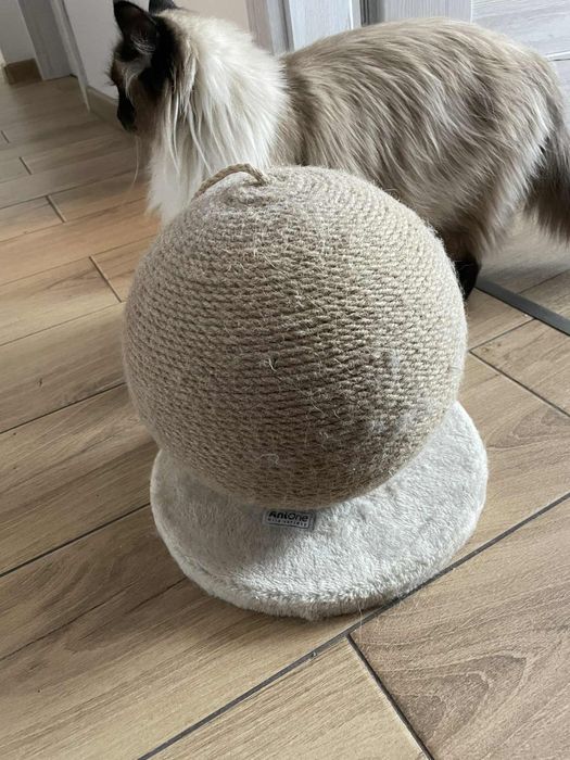 Drapak AniOne! Polecam!!!