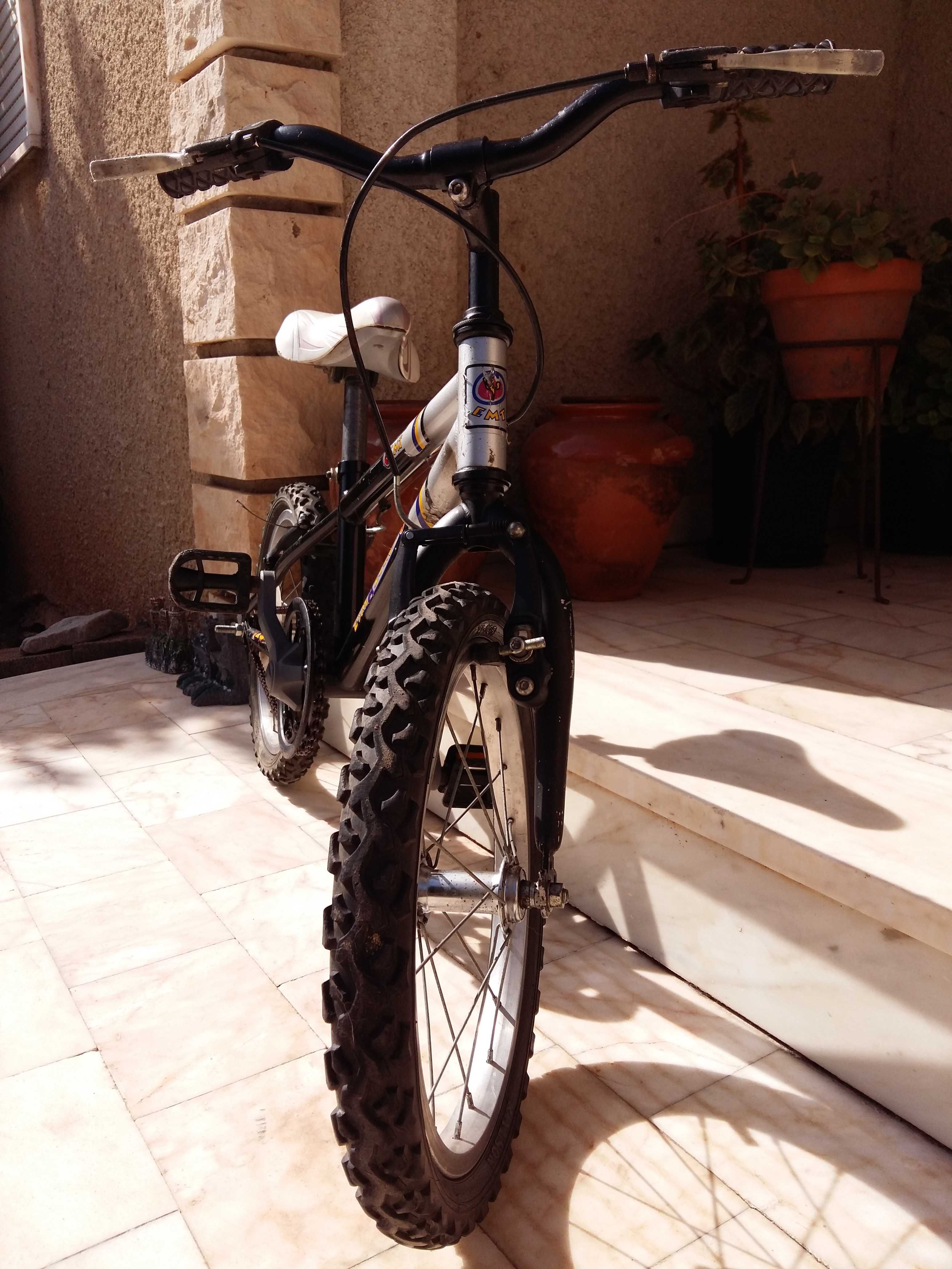 Bicicleta de Criança - Esmaltina