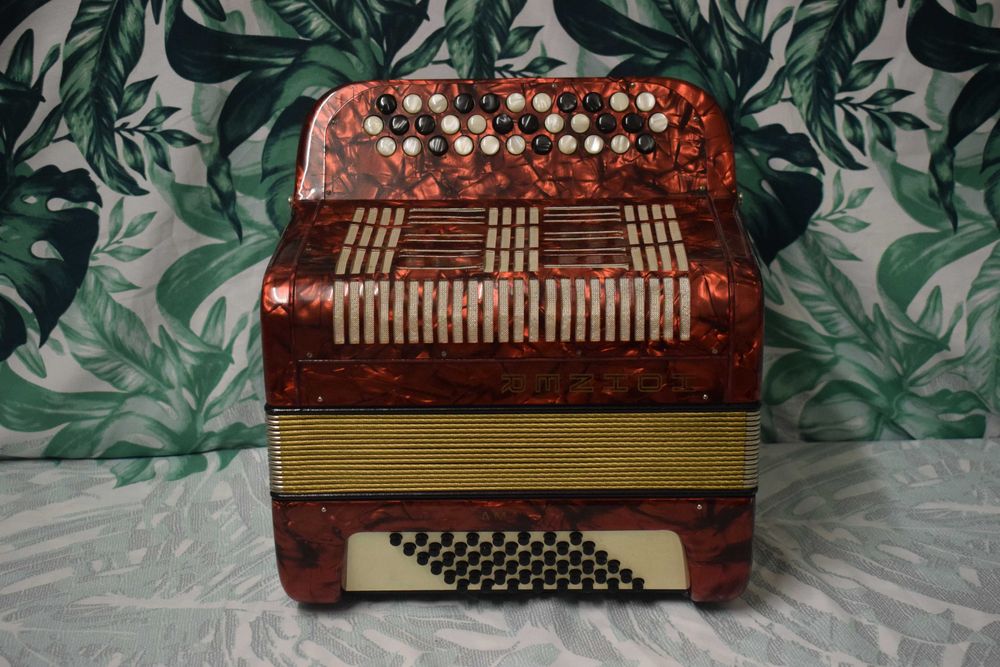 Acordeao Hohner Amati 2 Voz 48 Baixos, N 72