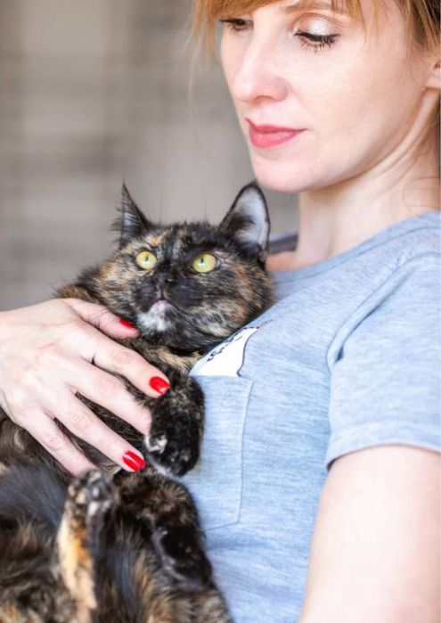 Кошечеа Рейф 3 года, кошка, косоглазая и красивая