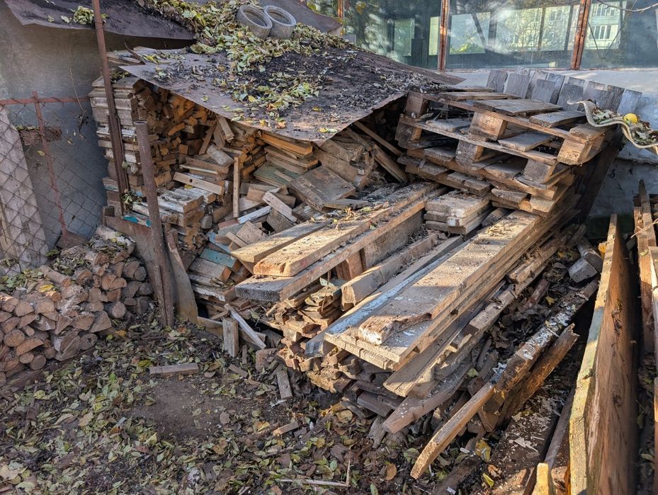 Дрова сосна дерево на опалення